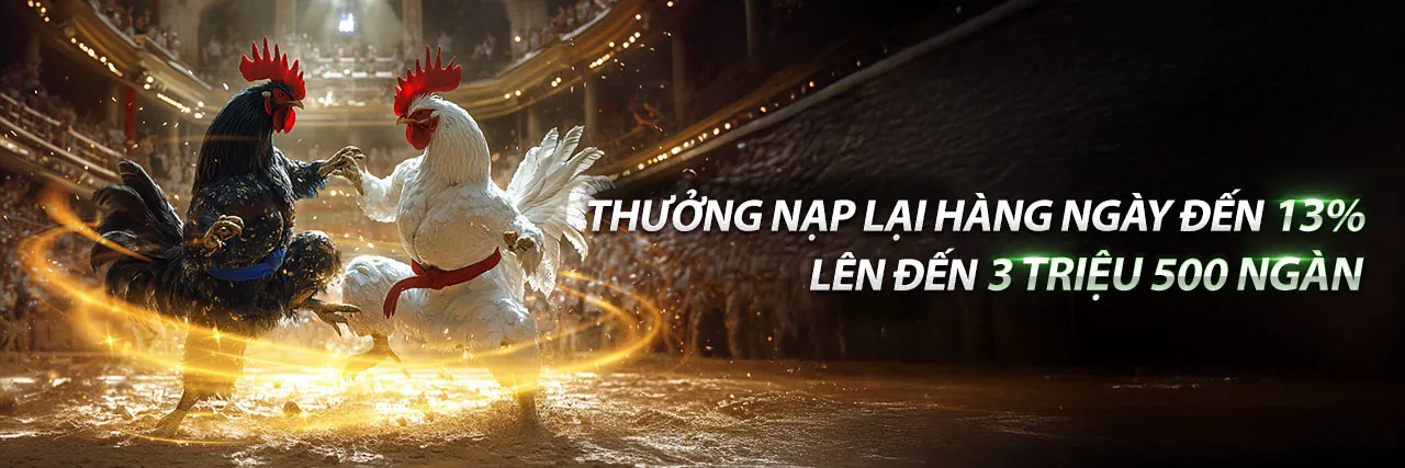 Sân đấu đá gà trực tuyến sôi động tại cado888 nổ hũ