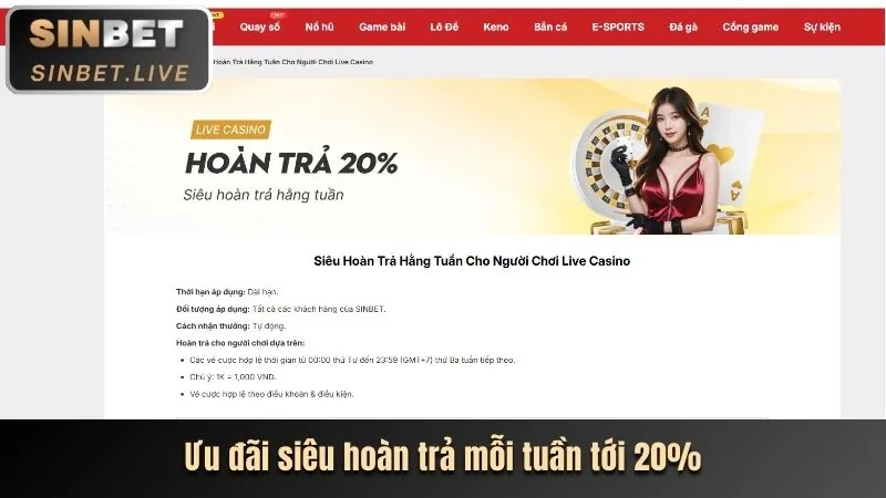 Hoàn trả hàng ngày/tuần bắn cá cado888 nổ hũ